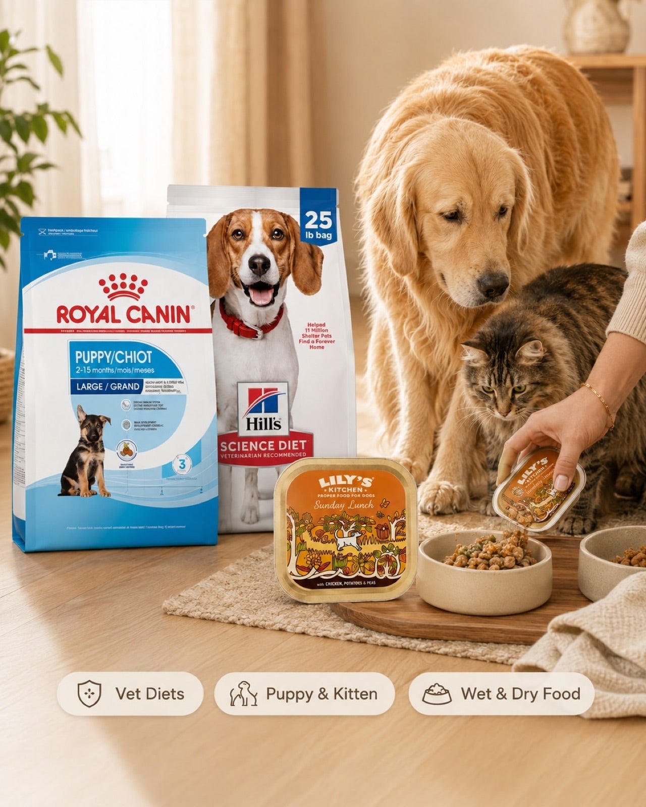 Royal Canin, Hill's and Lily's Kitchen pet food with a dog and cat