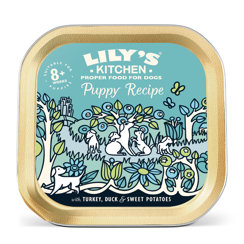 Lily's Kitchen Turkey & Duck Recipe Puppy Wet Food (150G)