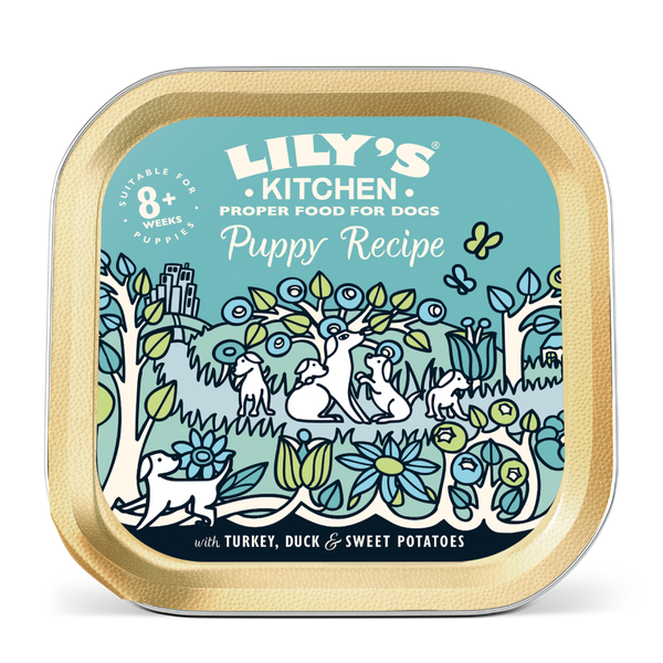 Lily's Kitchen Turkey & Duck Recipe Puppy Wet Food (150G)