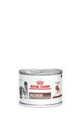 RCV Recovery Dogs & Cats 195g in can