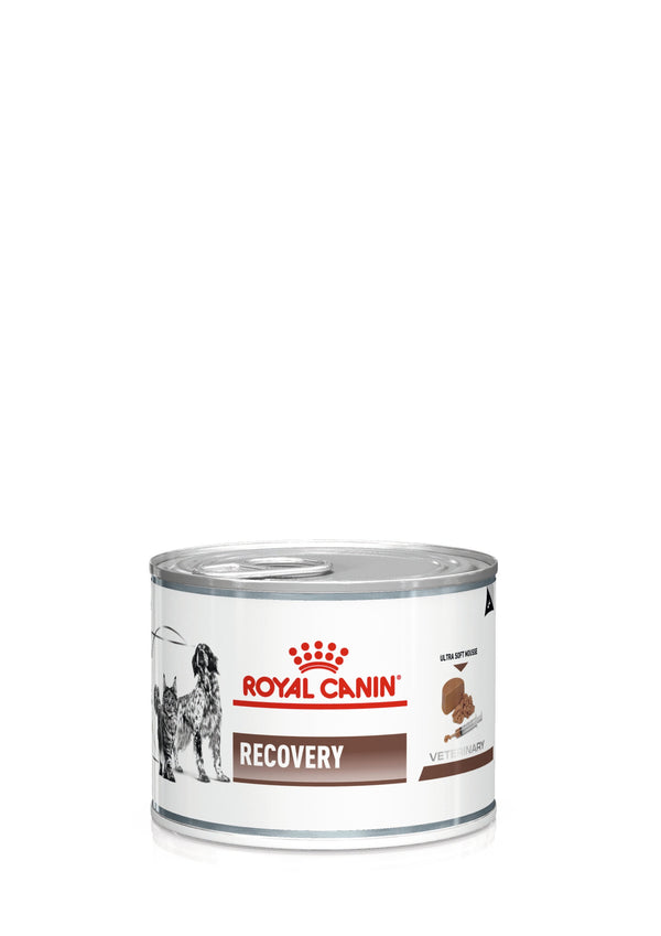 RCV Recovery Dogs & Cats 195g in can
