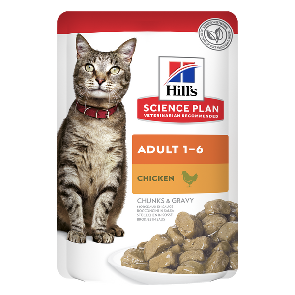 Hills Feline Adult cat (Chicken or salmon) Wet Food