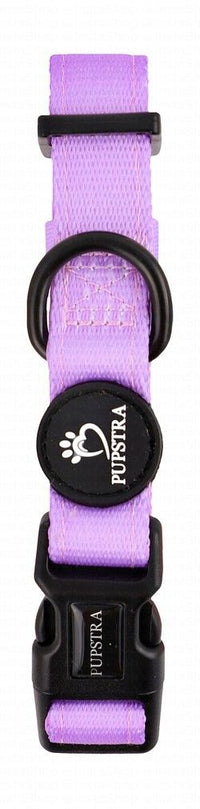 Pupstra Dog Collar Purple