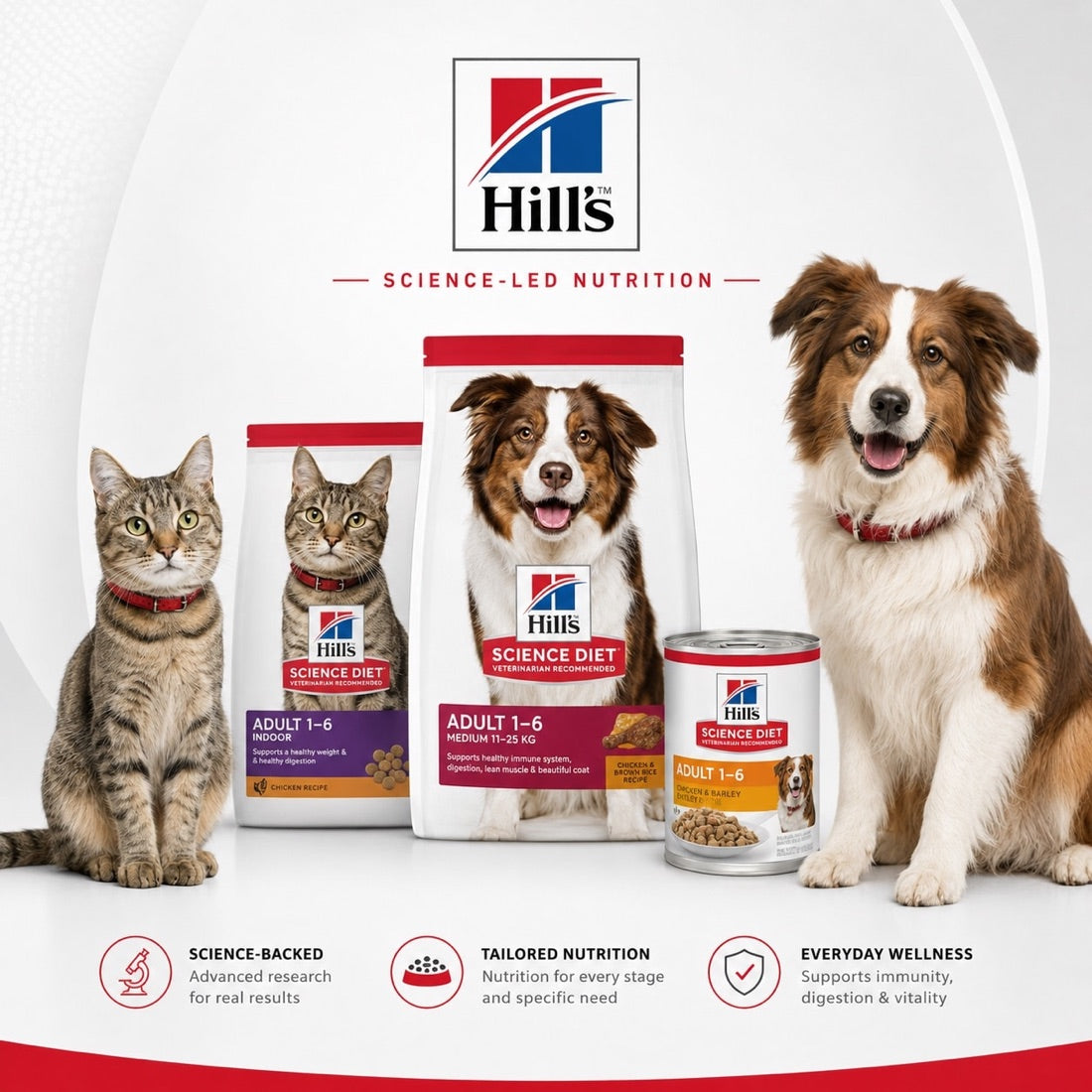 Hill's